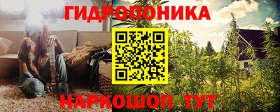шишки Старая Купавна