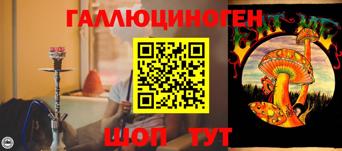 Псилоцибиновые грибы Psilocybe Орёл