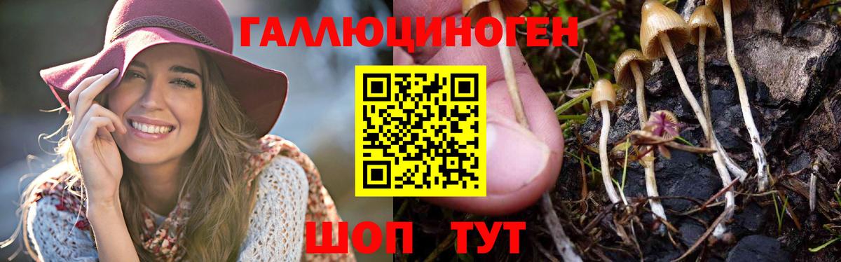 Орёл  Галлюциногенные грибы Cubensis  Галлюциногенные грибы MAGIC MUSHROOMS  Вход с VPN 